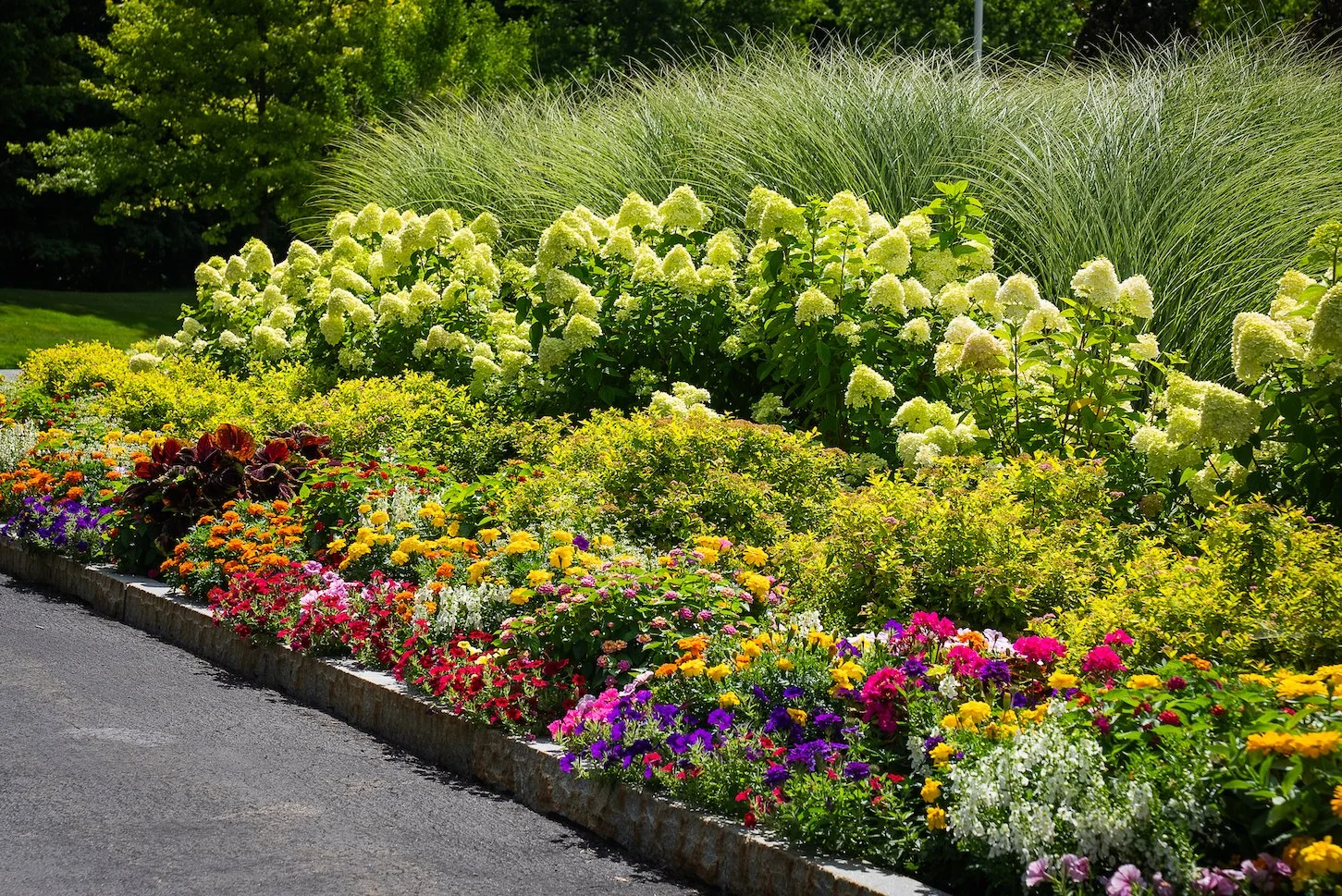 大型本 Ornamental Plants in the Landscape 5 Key Places to Install Plants on a Commercial Landscape in